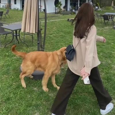 是个仙女!封面